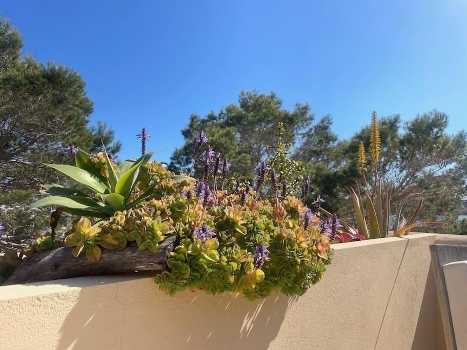 Splendido Attico Vista Mare Villa La Savina  Dış mekan fotoğraf