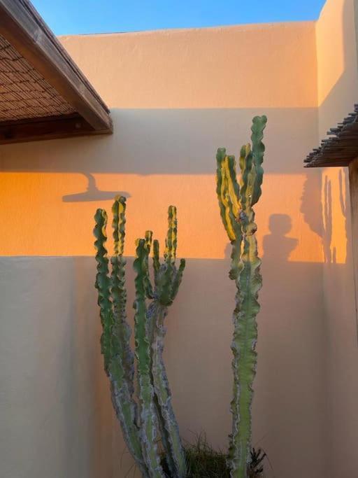 Splendido Attico Vista Mare Villa La Savina  Dış mekan fotoğraf