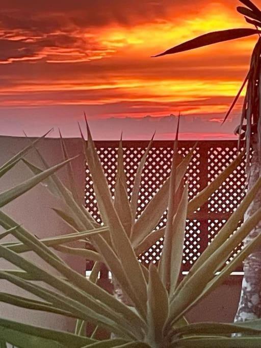 Splendido Attico Vista Mare Villa La Savina  Dış mekan fotoğraf